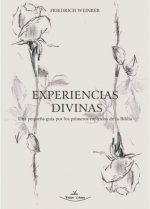 Experiencias divinas