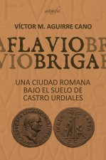 Flaviobriga