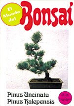 El mundo del bonsai