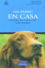 Animales De Compañ­a: Un Perro En Casa