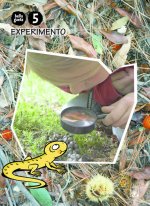 Llibre Experimento 5 anys. Belluguets