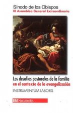 Los desafíos pastorales de la familia en el contexto de la evangelización