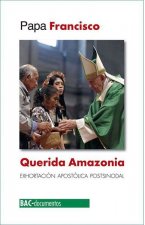Querida Amazonia