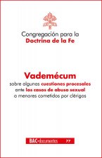 Vademécum sobre algunas cuestiones procesales ante los casos de abuso sexual a menores cometidos por