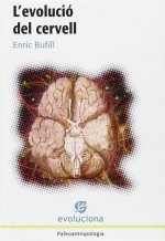 L'EVOLUCIÓ DEL CERVELL