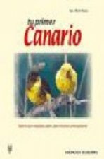 TU PRIMER CANARIO