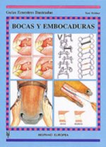 Bocas y embocaduras