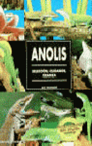 ANOLIS IF