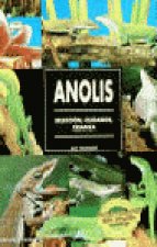 ANOLIS IF