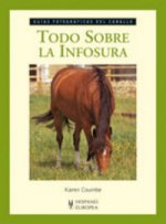 Todo sobre la infosura
