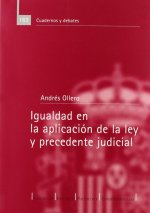 IGUALDAD EN LA APLICACION DE LA LEY Y PRECEDENTE JUDICIAL