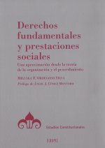 Derechos fundamentales y prestaciones sociales