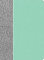 CSB Lifeway Women's Bible, Gray/Mint Leathertouch
