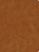 CSB Lifeway Women's Bible, Butterscotch Genuine Leather