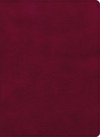 CSB Holy Land Illustrated Bible, Burgundy Leathertouch: A Visual Exploration of the People, Places, and Things of Scripture