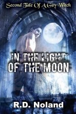 In the light of the moon