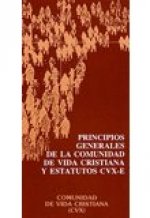 PRINCIPIOS GRALS.CDAD.V.CRISTIAN