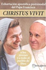 EXHORTACION APOSTOLICA POSTSINODAL DEL PAPA FRANCISCO