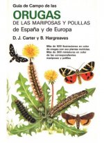 GUIA CAMPO ORUGAS DE MARIPOSAS Y POLILL.