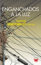 Enganchados a la luz