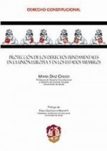 Protección de los derechos fundamentales en la Unión Europea y en los Estados miembros