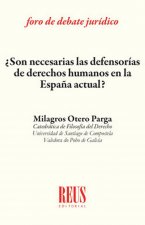 ¿Son necesarias las defensorías de derechos humanos en la España actual?