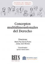 Conceptos multidimensionales del Derecho