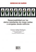 RESPONSABILIDAD POR LOS DAÑOS RESULTANTES DE COSAS CAIDAS O