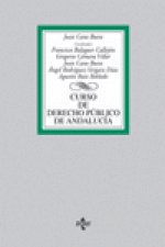 Curso de derecho público de Andaluc­a