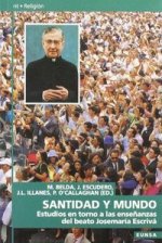 Santidad y mundo