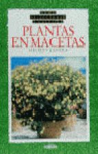 Plantas decorativas en macetas