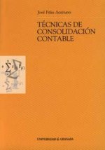 Técnicas de consolidación contable