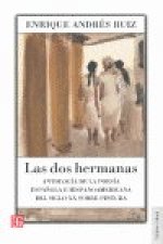 Las dos hermanas. Antolog­a de la poes­a española e hispanoamericana del siglo XX sobre pintura