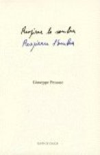 RESPIRAR LA SOMBRA / RESPIRARE L'OMBRA. DIBUJOS. ESPAÑOL-ITALIANO. CATALOGO EXPOSICION