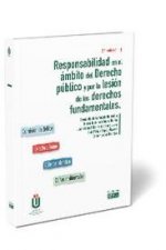Responsabilidad en el ámbito del derecho público por la lesión de los derechos fundamentales