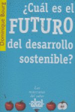 ¿Cuál es el futuro del desarrollo sostenible?