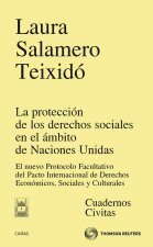 La protección de los derechos sociales en el ámbito de Naciones Unidas - El nuevo protocolo Facultat