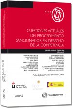 Cuestiones actuales del procedimiento sancionador en derecho de la competencia
