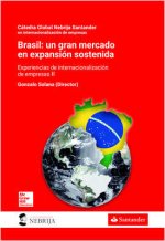 IPADBLINK - BRASIL: UN GRAN MERCADO EN EXPANSION SOSTENIDA.