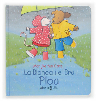 Plou