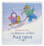 Avui neva
