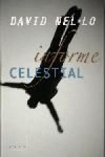 Informe celestial