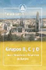 Grupos b, c y d de la diputacion provincial de burgos. Temario comun.