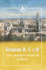 Grupos b, c y d de la diputacion provincial de burgos. Test temario comun.