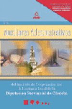 Auxiliares administrativos del instituto de cooperacion con la hacienda local de la diputacion provi