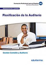 UF0317. Planificación de la Auditoría. Certificado de Profesionalidad Gestión Contable y Auditoría.