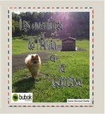 Les aventures de l'Àlvin a la Garrotxa