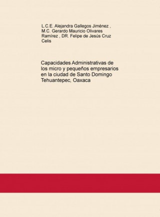 Capacidades Administrativas de los micro y pequeños empresarios en la ciudad de Santo Domingo Tehuan