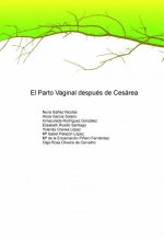 EL PARTO VAGINAL DESPUÉS DE CESÁREA