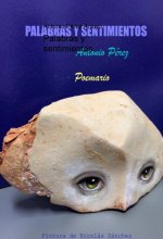 Palabras y sentimientos